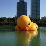 서촌호수 <b>러버</b>덕 또 안오나요?ㅠㅠ