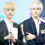 [EXO] 중국애들 개쿨 개무<b>심해</b>