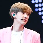 [EXO] 찬열 어그로 끄는 년에게