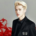[exo] 심심해서 세훈이 사진 꾸며봄