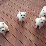 [댓글부탁해] 이거 어때?? 좀 봐주랑 (<b>사진o</b>)
