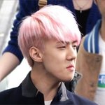 [EXO] <b>현빈이</b>도 보다보니 괜춘
