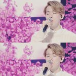 [EXO] 백현이노래는<b>벚꽃</b>짤줍해가