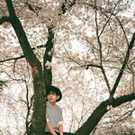 와방탄대단하다