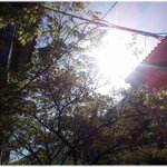 [유익한글] * 잘못 알고 있는 상식들 *