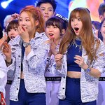 <b>엽사</b>를 두려워하지 않는 하니...ㅋㅋㅋㅋㅋㅋㅋㅋ