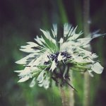 [사진] 수정) 사진 찍기 좋아하는 19세 흔녀..