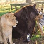 백수톡에 서울지역 후배들중 한명에게도 기회를 주고 싶은 <b>초설</b>랑임