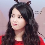 아이유로 보는 여자 <b>헤어</b>스타일.jpg