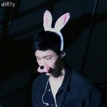 [EXO] ㅁㅊ토끼머리띠쓴거 핵둥?