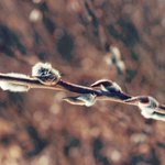 [사진] 2탄 ) 사진 찍기 좋아하는 19세 흔녀.. (가을, 겨울...