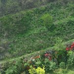 [EXO] 존나 뜬금인데 우리<b>집</b> 베란다 <b>밖</b>에 개이쁨