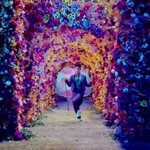 [모든팬덤] 빅뱅 <b>베베</b>뮤비 존나야해ㅋㅋㅋ