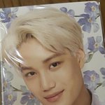 [카이] 헐 네이처 카이 노트