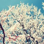 [모든팬덤] +추가) 힐링되는 아이돌 명곡 甲