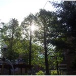 [유익한글] * 나무가 준 '<b>인문학</b> 레시피' *