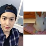 [EXO] 준면이 그리고 진짜토끼 
