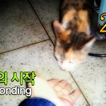 [<b>람</b>쥐] 2편 - <b>람</b>쥐와의 인연의 시작_시즌1