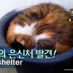 [<b>람</b>쥐] 3편 - <b>람</b>쥐의 은신처 발견!_시즌1