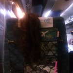 <b>ktx</b>  귀신녀,  민폐녀(사진첨부)