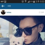 [EXO] 캔디 칸디 구별법