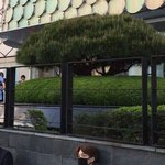 [EXO] 아ㅆㅂ 엊그제 김종인 변백현 압구정왔었네