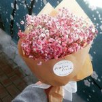 [조언좀제발] 제발!좋아하는건지 알려주세요!