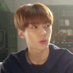 [EXO] 그냥 딱딱 <b>지네</b> 가수들만 응원했으면 좋겠음