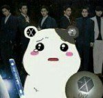 [EXO] 드콘에서 엘도라도하면