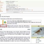 [댓글부탁] 비둘기새끼<b>참새</b>?