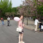 토요일 서울대공원 사진 한장 위해 꽃나무 훼손..