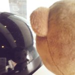 [EXO] <b>누나</b>....곰이니 얼굴보고싶어여??...ㅂ_ㅂ??