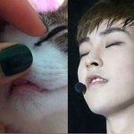 [시우민] <b>누</b>가 시우민이게