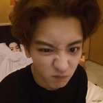 [EXO] 야 이게 어딜봐서 찬백 호모짤이냨ㅋㅋㅋㅋ