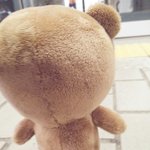 [EXO] 누나...곰이니 오늘 카ㅏ몽갔다왔쪄여..ㅂ_ㅂ