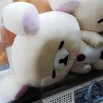 [EXO] 시발지금분위기왜<b>이러</b>냨ㅋㅋㅋㅋ