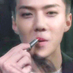[EXO] 추천좀2) 립스틱 vs 틴트