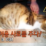 [람쥐] 4편 - 람쥐에게 고양이용 <b>사료</b>를 주다!