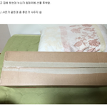 츤데레누나의 선물과 롤<b>충동</b>생의 반응.jpg
