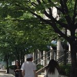 [모든<b>팬덤</b>] <b>태연</b>이랑 김희철 길거리에서 나란히 데이트...?