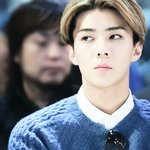 [EXO] 댓글대란에 오늘 처음 인스타가입했는데 