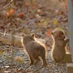 [보고싶다] 내일이 어린<b>이날</b>인데 다들 기억나는 친구 다시 찾고싶은...