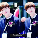 [EXO] 첸시<b>코기</b> 살사람 있음?