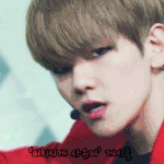 [EXO] 솔직히한국ㅈㄴ만만하게본거아님?