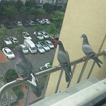 [EXO] [초강극혐주의]  극혐 <b>삼총사</b> 