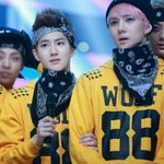 [팬픽] [<b>설문</b>조사] 너네 생각에 연하공연상수에