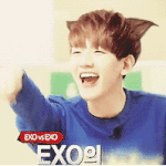 [EXO] 밝고 <b>착한</b> 백현이 생일축하해