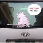 [재치만땅] * 재미있는 사진 ^^ *