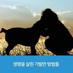 <b>생명</b>을 살린 기발한 방법들