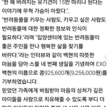 [백현] 백현마을 콩기부(동물보호<b>시민</b><b>단체</b>)